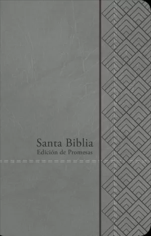 BIBLIA PROMESAS RVR60 MANUAL I/PIEL GRIS LETRA GRANDE