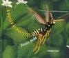 ODISEA DE POLISTES, LA