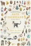 GATO ENCERRADO (POP UP)