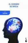 CEREBRO DE BROCA