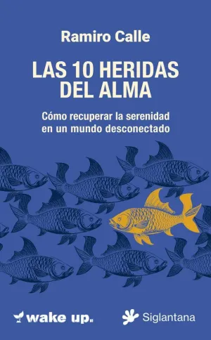 10 (DIEZ) HERIDAS DEL ALMA