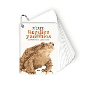 REPTILES Y ANFIBIOS (FÍJATE)