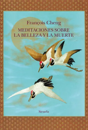 MEDITACIONES SOBRE LA BELLEZA Y LA MUERTE