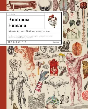 ANATOMÍA HUMANA (ILUSTRADO)