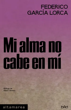 MI ALMA NO CABE EN MÍ