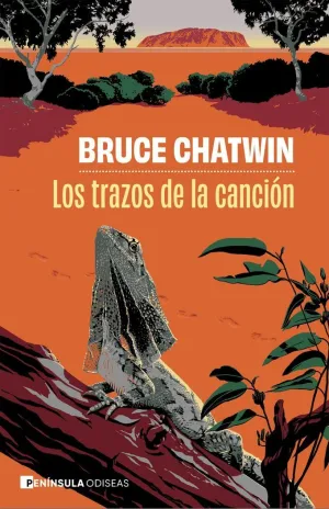TRAZOS DE LA CANCION
