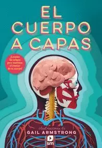 CUERPO A CAPAS