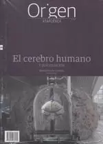 CEREBRO HUMANO Y SU EVOLUCION, EL