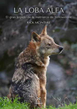 LOBA ALFA, LA