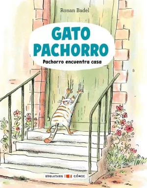 GATO PACHORRO 1 ENCUENTRA CASA