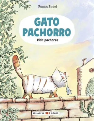 GATO PACHORRO 3 VIDA PACHORRA
