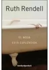 AGUA ESTÁ ESPLÉNDIDA, EL
