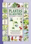 PLANTAS SILVESTRES INFUSIONES Y TISANAS