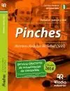 PINCHES SAS 2014