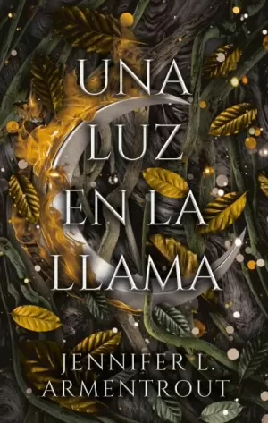 UNA LUZ EN LA LLAMA (SOMBRA BRASAS 2)