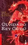OLVIDADO REY GUDÚ