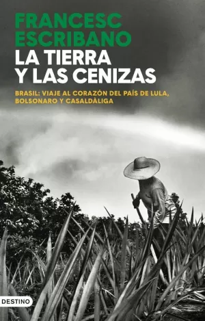 TIERRA Y LAS CENIZAS, LA