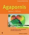 AGAPORNIS SANOS Y FELICES