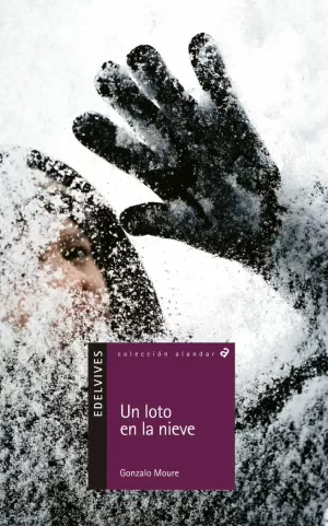LOTO EN LA NIEVE  UN
