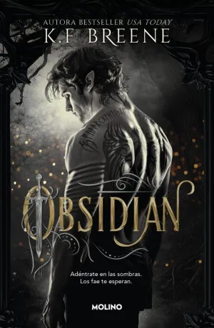 OBSIDIAN (LOS FAE DE LAS SOMBRAS 1)
