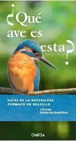 QUE AVE ES ESTA?