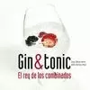 GIN TONIC
