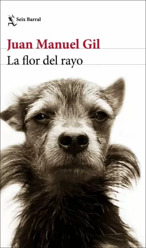 FLOR DEL RAYO, LA