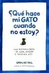 QUÉ HACE MI GATO CUANDO NO ESTOY?
