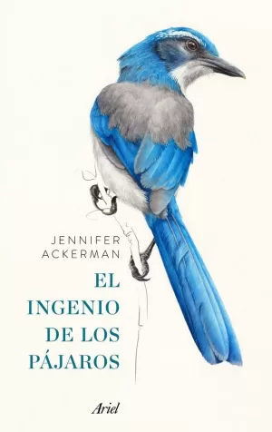 INGENIO DE LOS PÁJAROS, EL