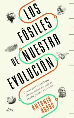 FÓSILES DE NUESTRA EVOLUCIÓN, LOS