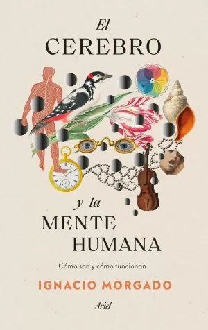 CEREBRO Y LA MENTE HUMANA
