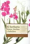 HERBARIO, EL -MATAS HIERBAS Y HELECHOS