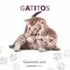 CALENDARIO 2020 GATITOS
