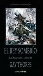 REY SOMBRIO, EL  SECESION 2
