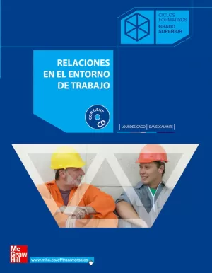 RELACIONES ENTORNO TRABAJO +CD CFGS 2006