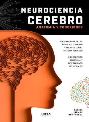 NEUROCIENCIA CEREBRO ANATOMÍA Y CONEXIONES