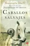 CABALLOS SALVAJES FG