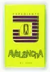 EXPEDIENTE J 2. AVALANCHA