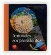 ANIMALES SORPRENDENTES (LINTERNA MAGICA)