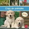 CRIAS DE ANIMALES. CRECER Y APRENDER