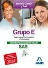 GRUPO E 2014 SAS LAVANDERA / PLANCHADORA / TELEFONISTAS