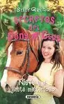 SECRETOS DEL PONY CLUB 2 NIEVE Y EL JINETE MISTERIOSO