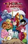 HORA DE AVENTURAS CON FIONNA Y CAKE