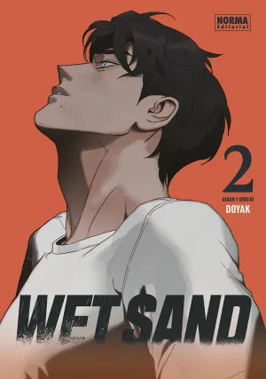WET SAND 2 +18