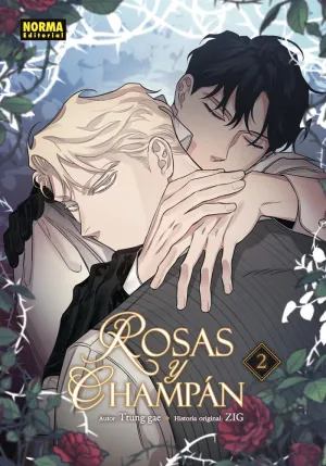 ROSAS Y CHAMPAN 2