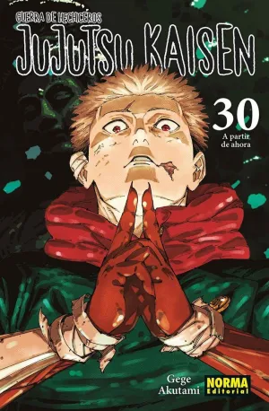 JUJUTSU KAISEN 30 / 30