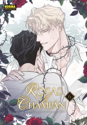 ROSAS Y CHAMPAN 6