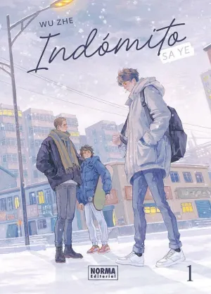 INDOMITO SA YE 1 (NOVELA)