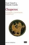 CHAPEROS. PRECARIADO Y PROSTITUCION HOMOSEXUAL