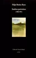 SOMBRAS PARTICULARES 1988/1991